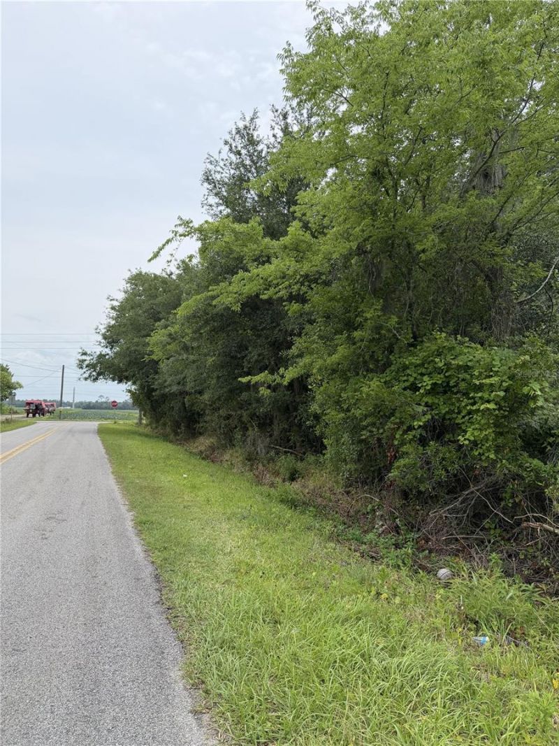 158 E Cracker Swamp Road, East Palatka, FL 32131 Photo