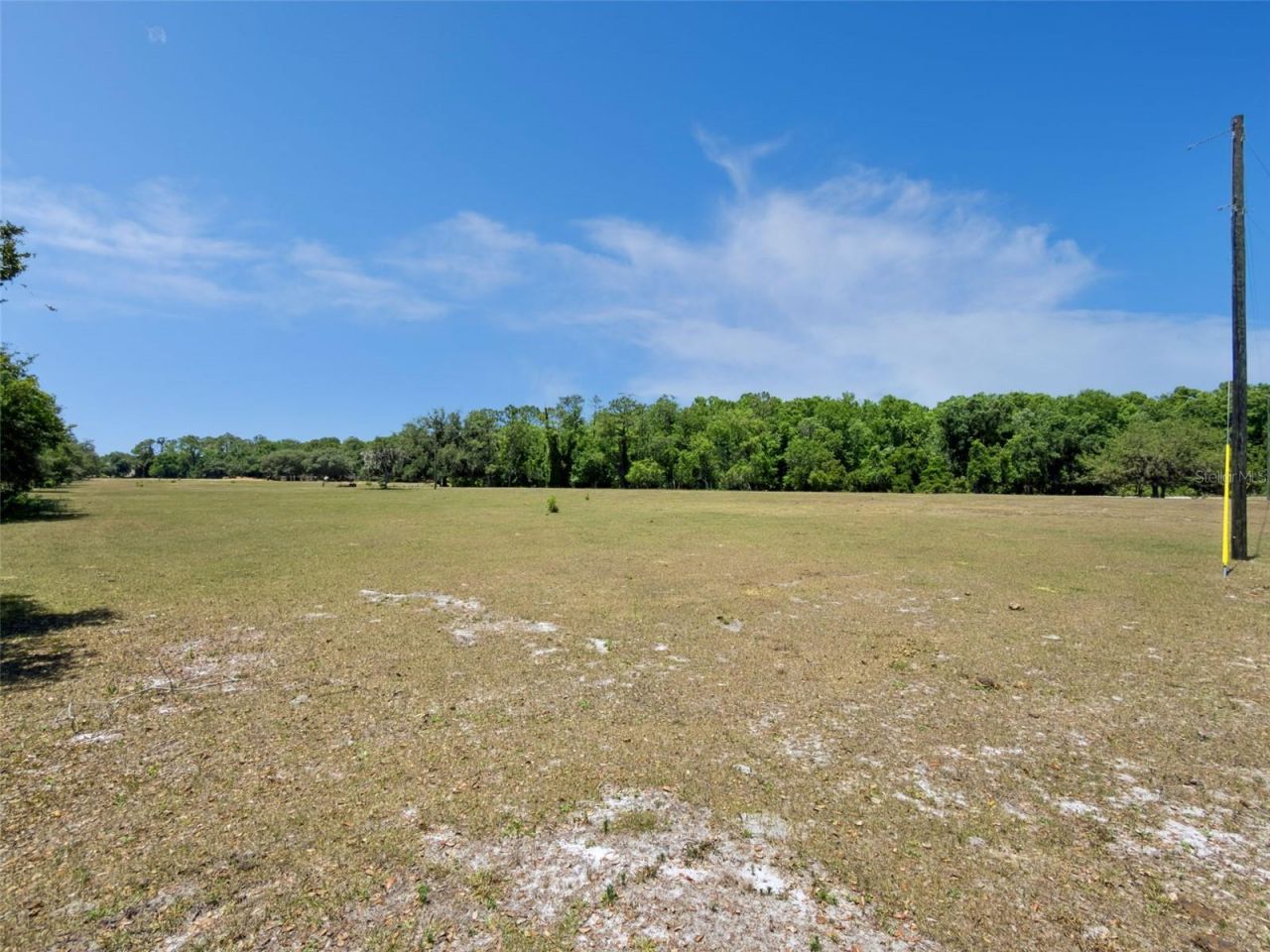 Blue Jay Way, Davenport, FL 33896 Photo