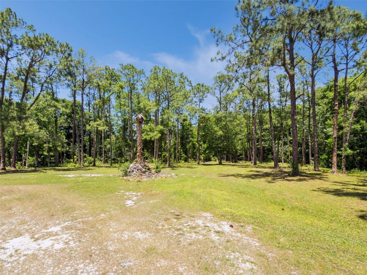 Blue Jay Way, Davenport, FL 33896 Photo