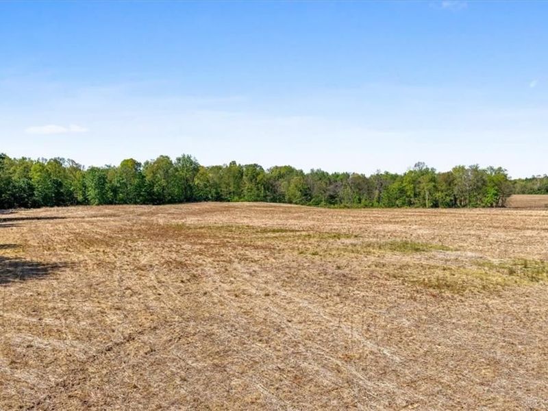 8598 Deadfall Road, Hillsboro, OH 45133 Photo 10