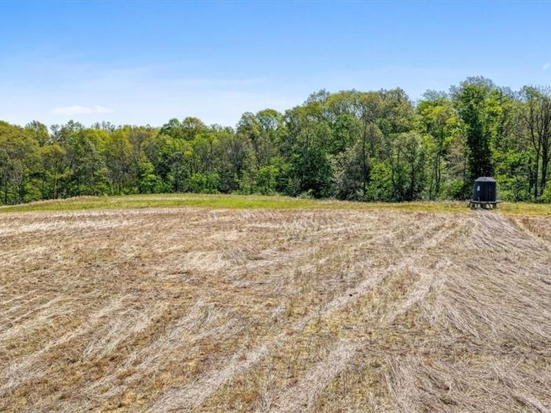 8598 Deadfall Road, Hillsboro, OH 45133 Photo 11