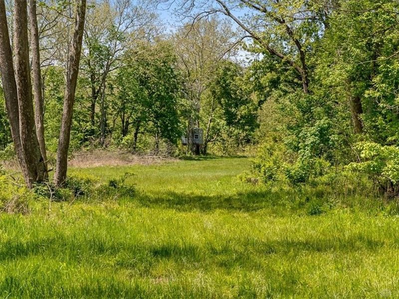 8598 Deadfall Road, Hillsboro, OH 45133 Photo 19