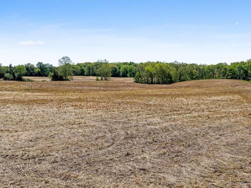 8598 Deadfall Road, Hillsboro, OH 45133 Photo 29