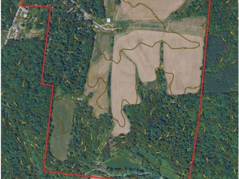 8598 Deadfall Road, Hillsboro, OH 45133 Photo 4