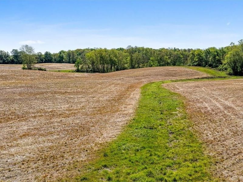 8598 Deadfall Road, Hillsboro, OH 45133 Photo 64
