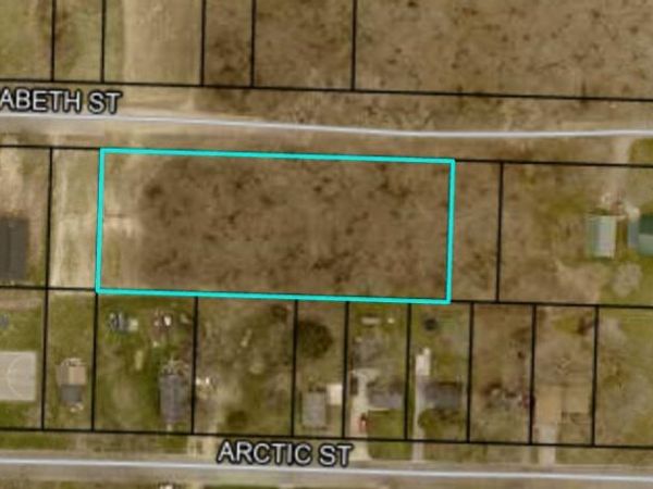 406 Elizabeth Street, Buchanan, MI 49107
