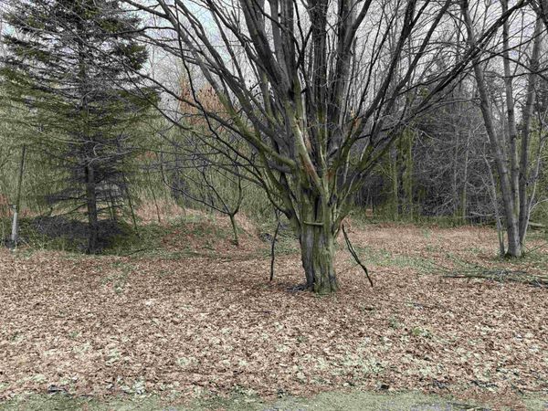 54 Adams School Road, Grand Isle, VT 05458
