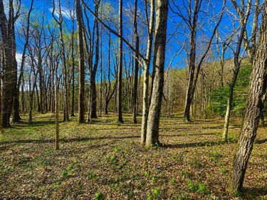 TBD Bobolink Drive, Terra Alta, WV 26764