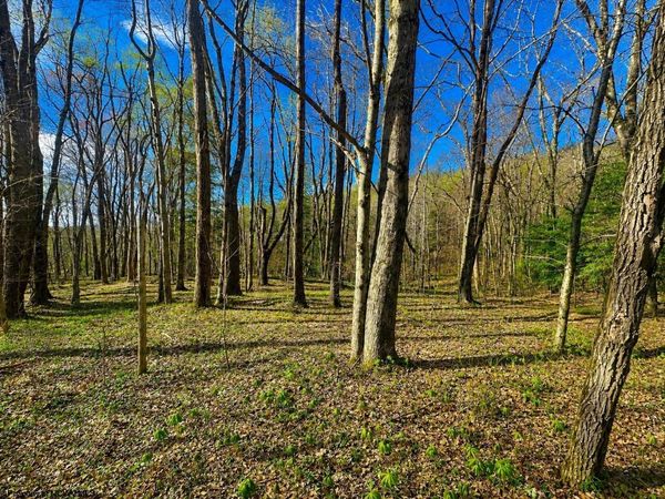 TBD Bobolink Drive, Terra Alta, WV 26764