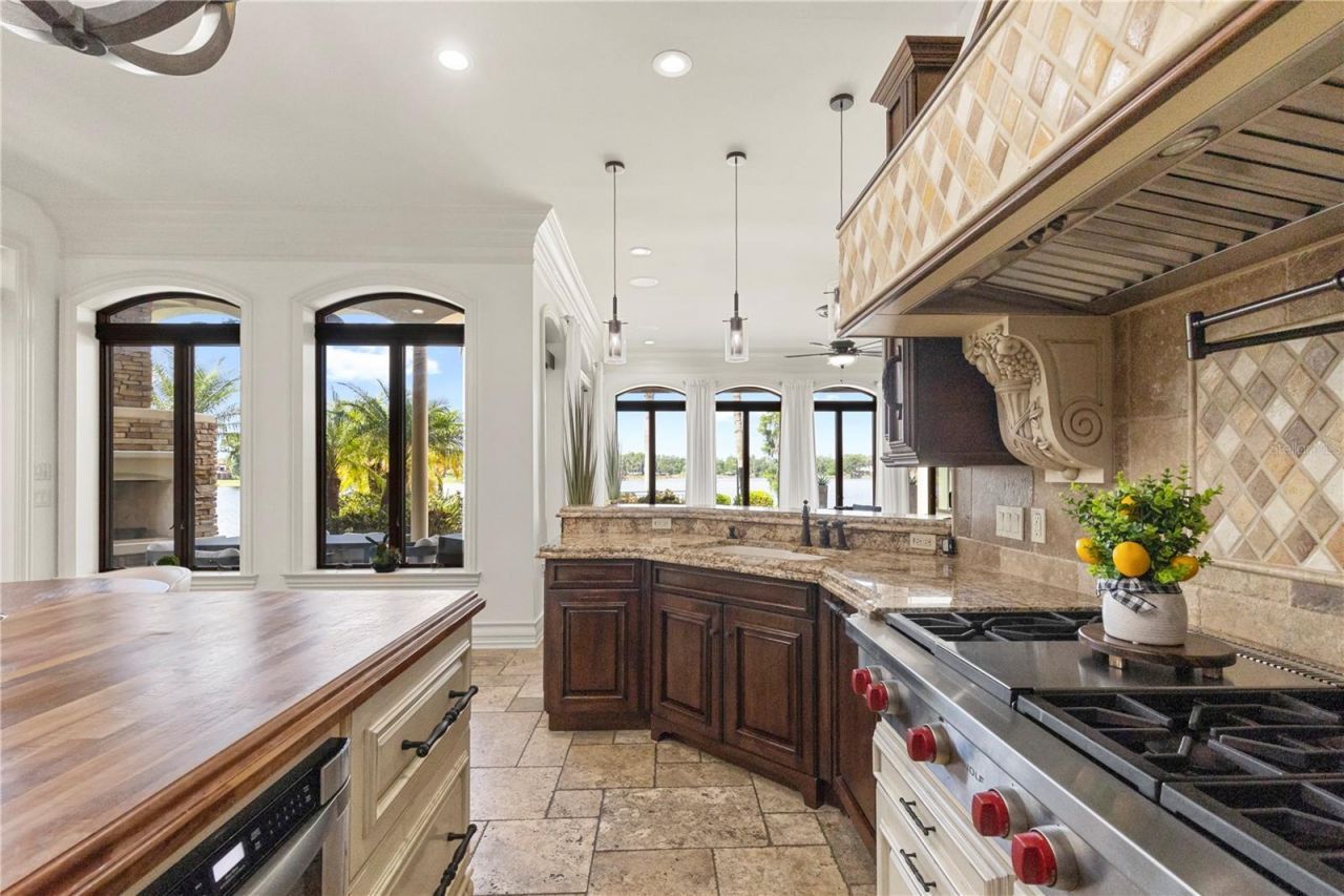 216 Lake Brant Drive, Lutz, FL 33548 Photo