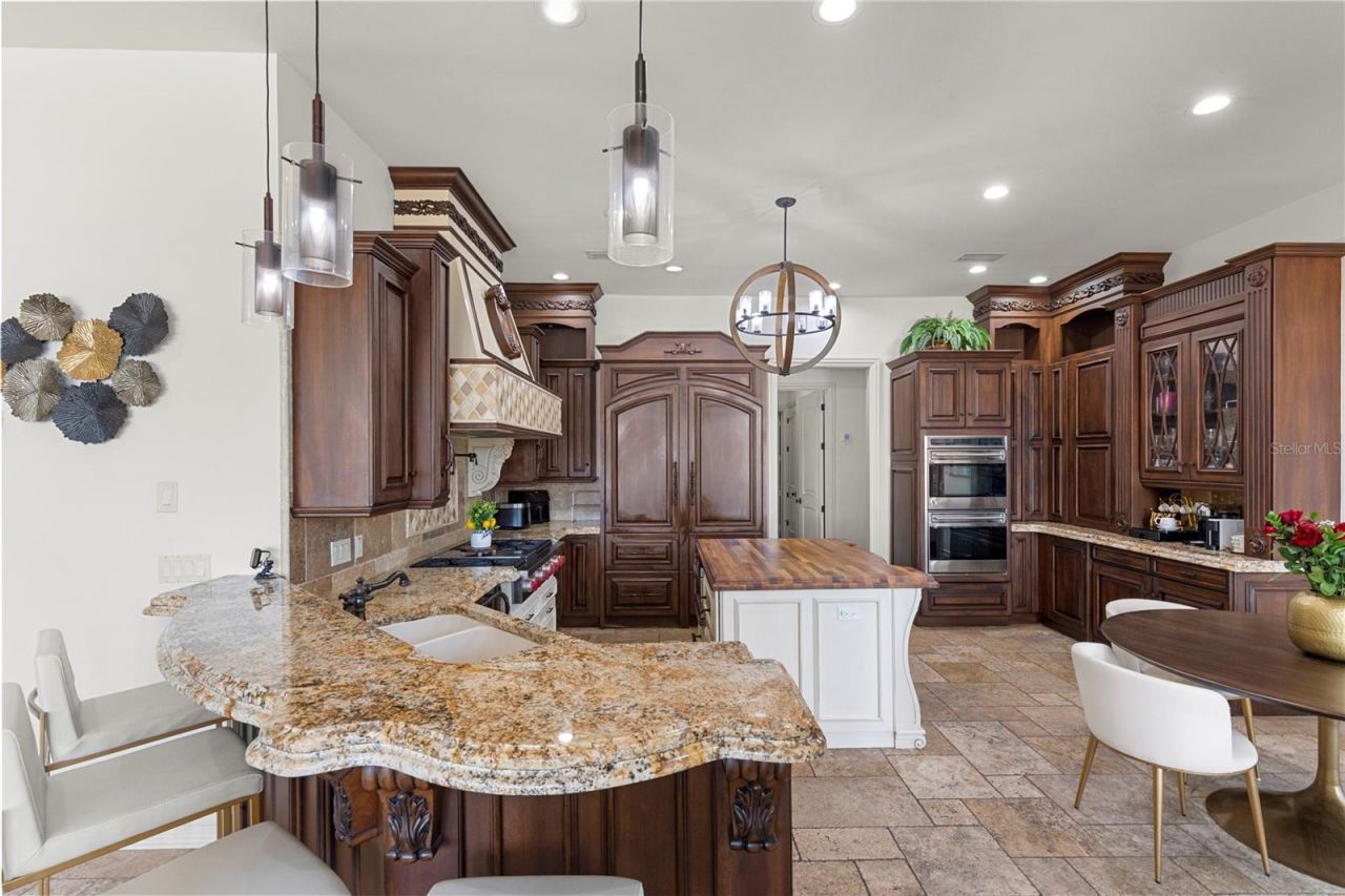 216 Lake Brant Drive, Lutz, FL 33548 Photo