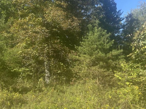Timothy Drive, Crossville, TN 38572