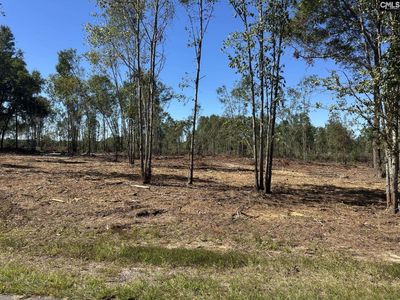 00 SC Hwy 773 Highway , Pomaria, SC 29126