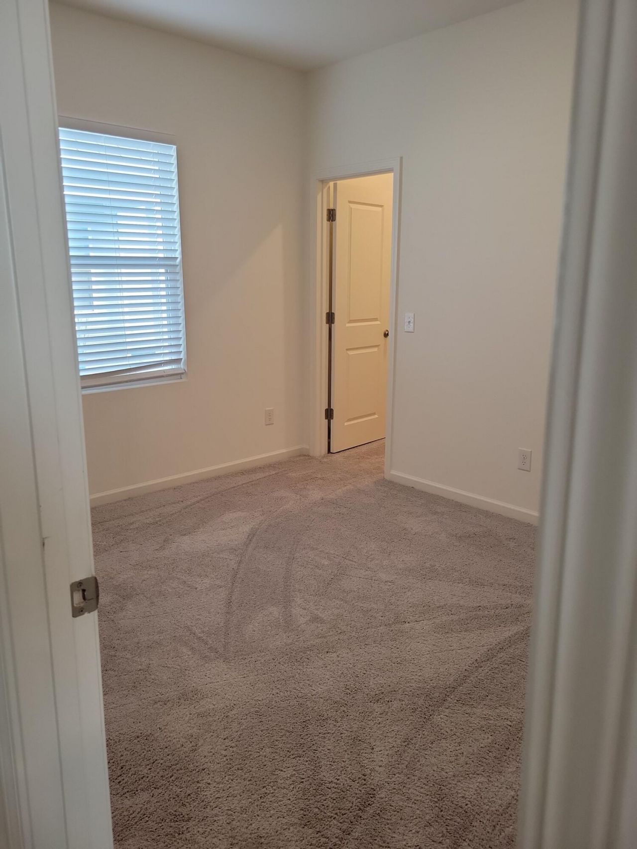 495 Pender Woods Drive Photo 9