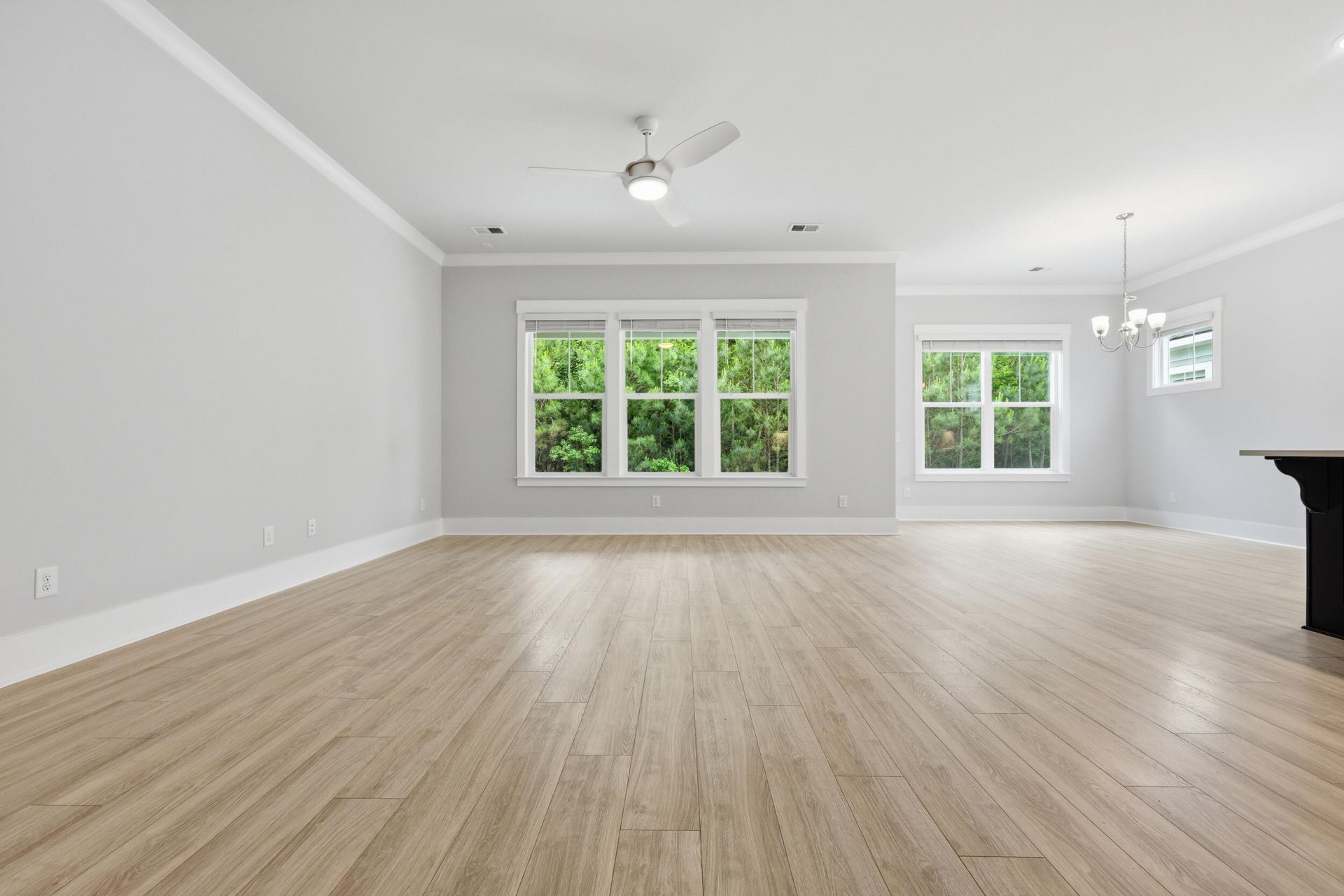 3515 Matisse Street Photo 11