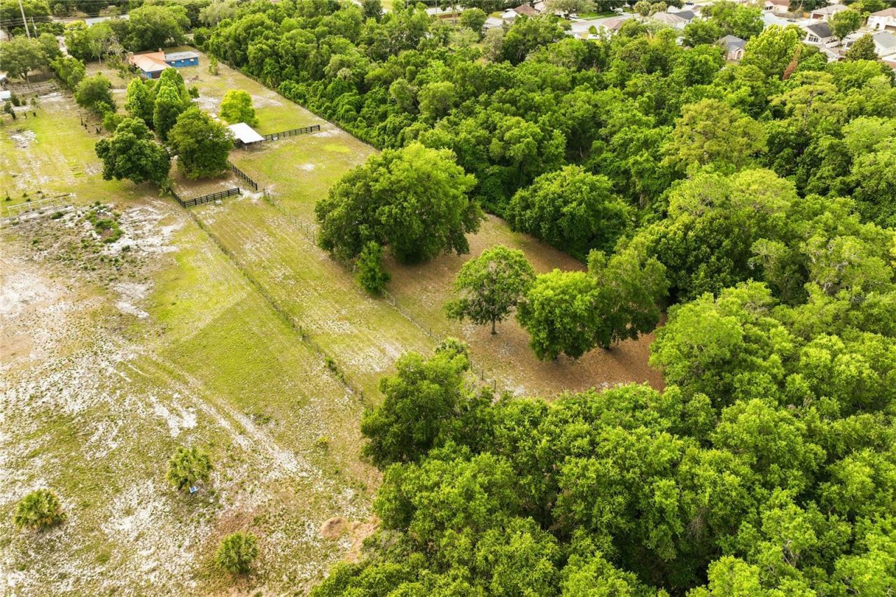 3901 N Apopka Vineland Road, Orlando, FL 32818 Photo