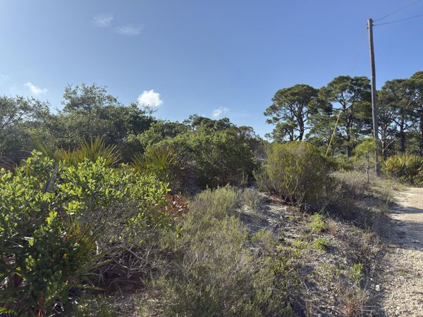 105 Sand Trace Drive, Cape San Blas, FL 32456