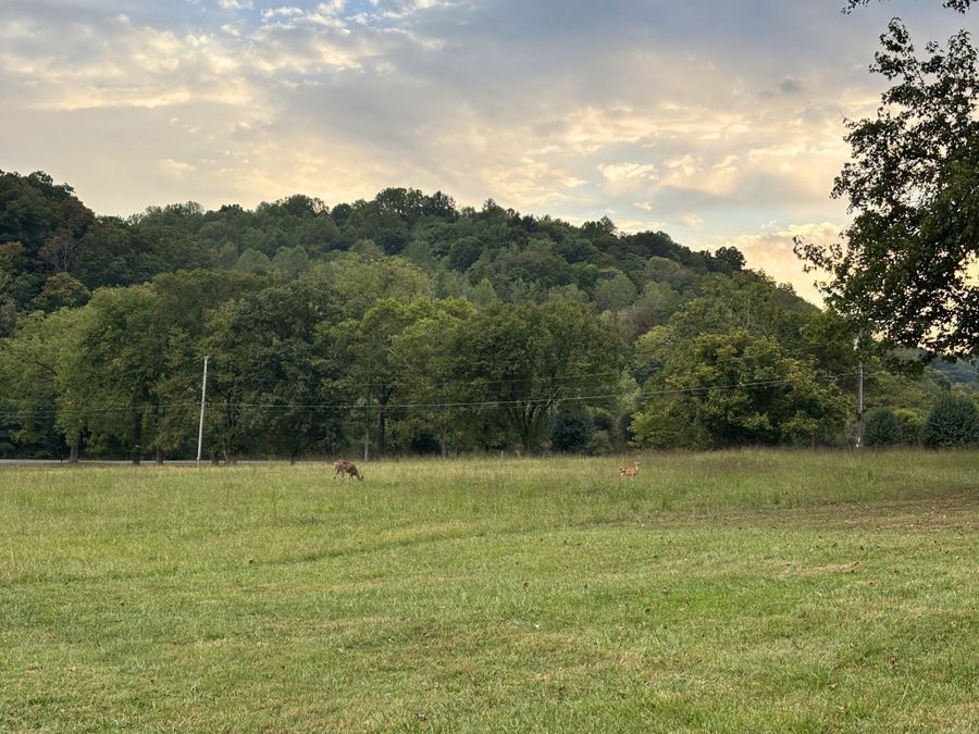 Property Image 62