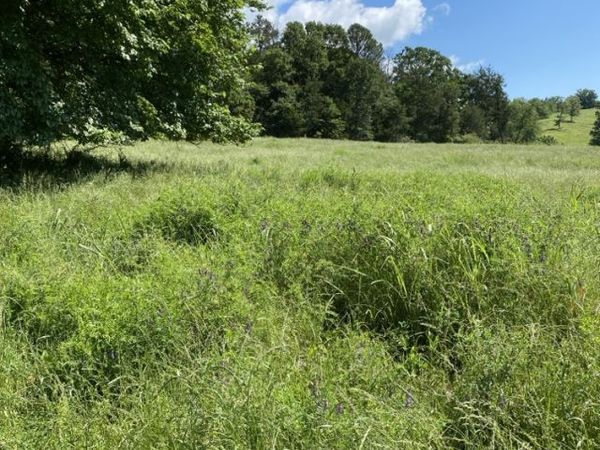 2 Acres on Melton Road , Briggsville, AR 72828