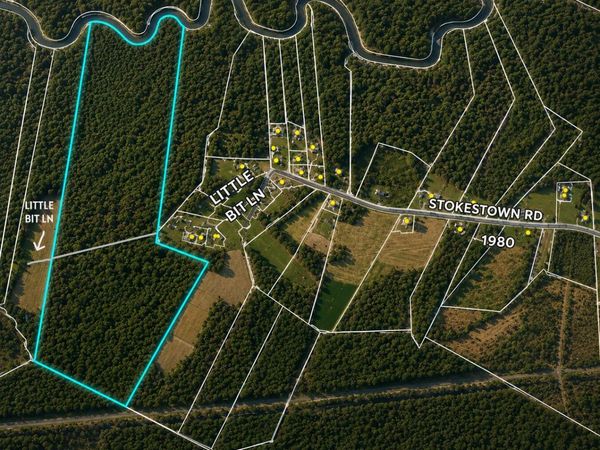 0 Stokestown Road , Wallace, NC 28466