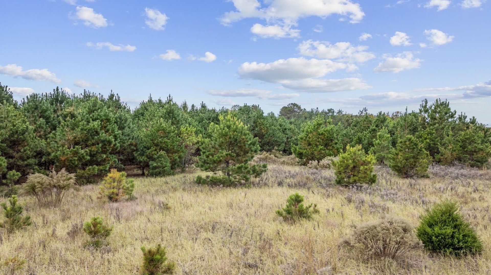 Lot 8 Creek Landing Rd  Photo 13
