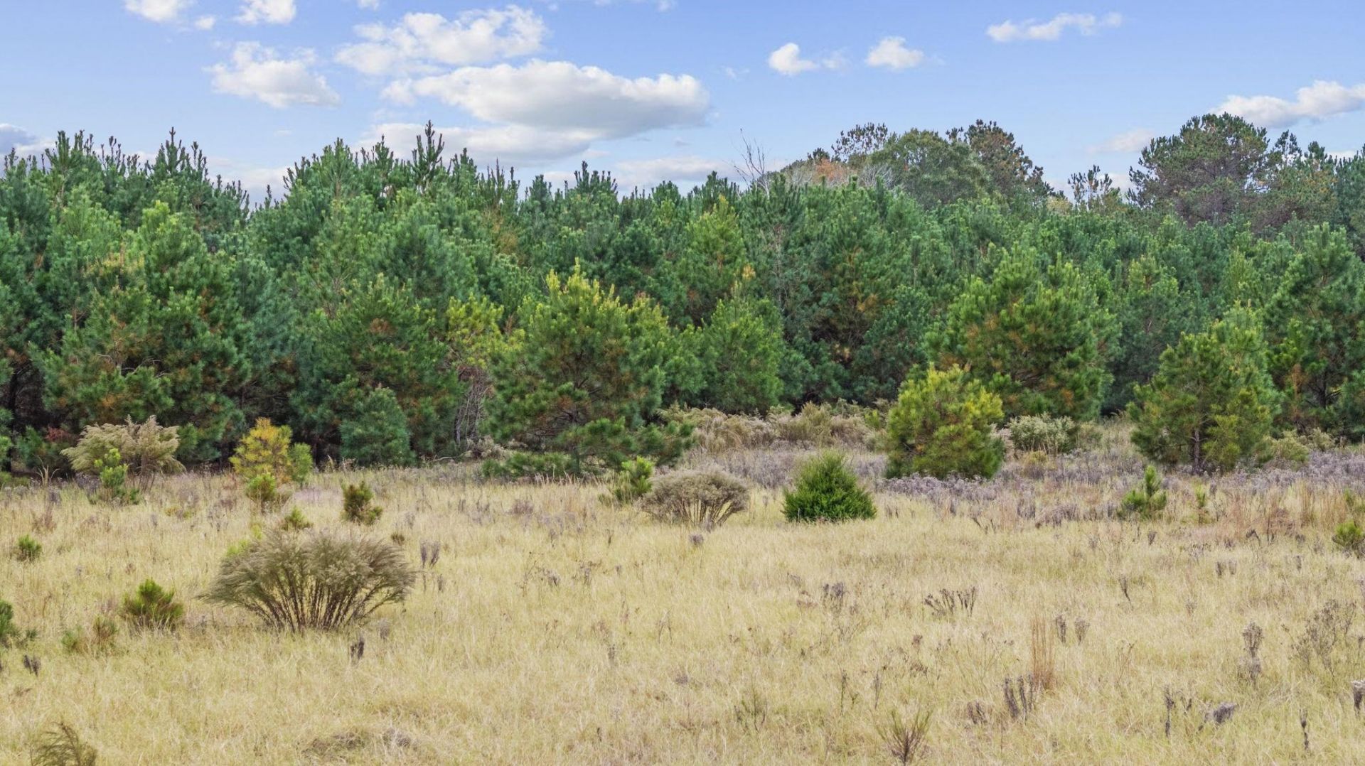 Lot 8 Creek Landing Rd  Photo 14