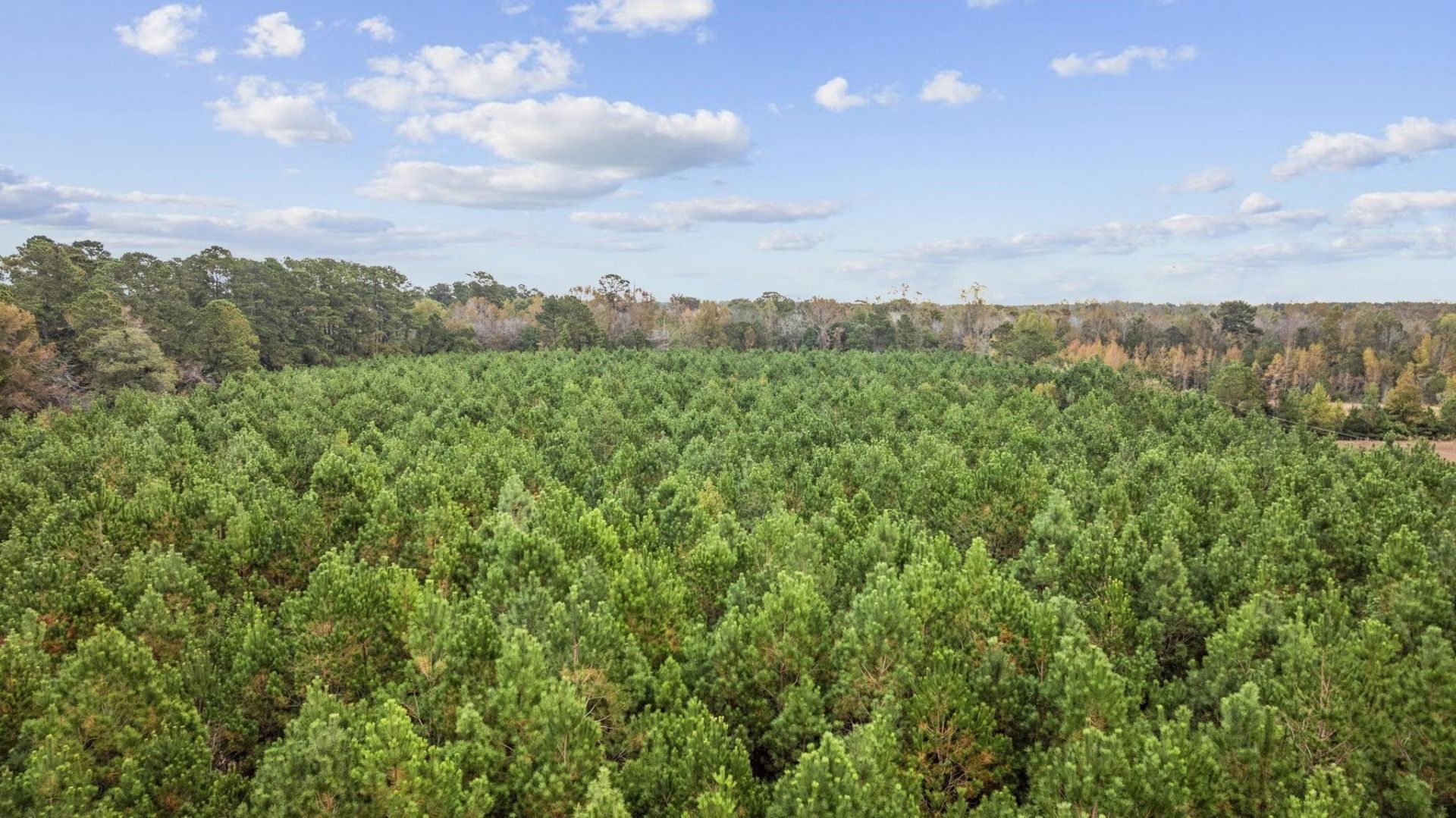 Lot 8 Creek Landing Rd  Photo 16