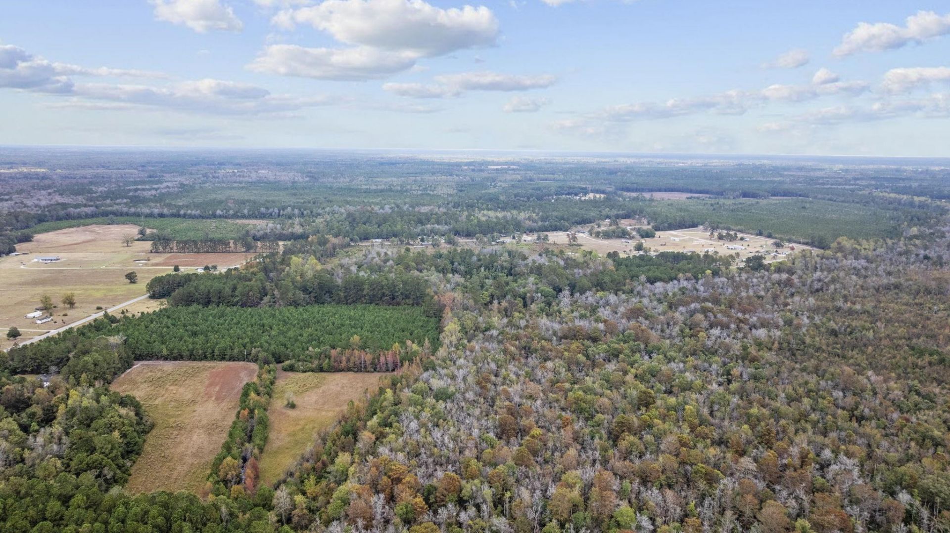 Lot 8 Creek Landing Rd  Photo 9