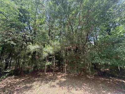 Lot 1 Brantly Rd. , Andrews, SC 29510