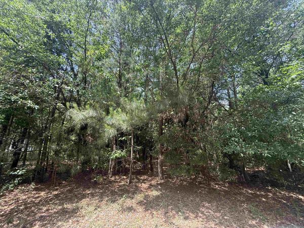 Lot 1 Brantly Rd. , Andrews, SC 29510