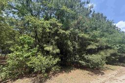 Lot 1 Brantly Rd.  photo 4