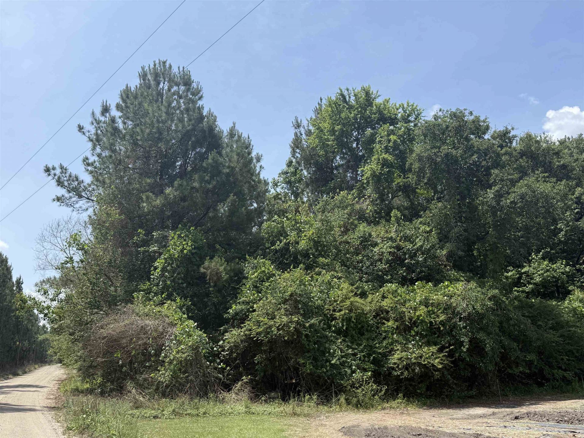 Lot 1 Brantly Rd.  Photo 4