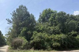 Lot 1 Brantly Rd.  photo 4