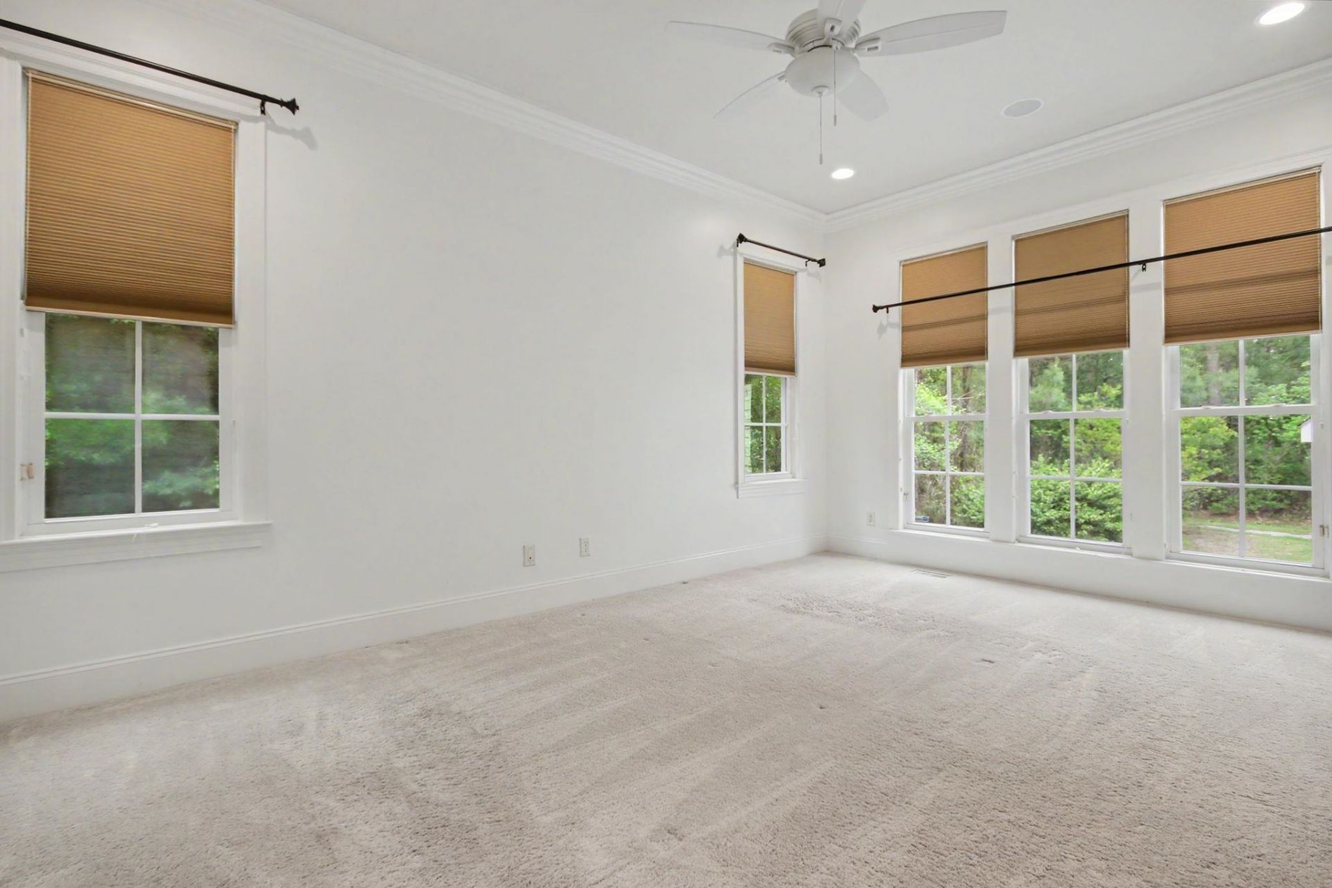 55 Pineberry Dr.  Photo 24