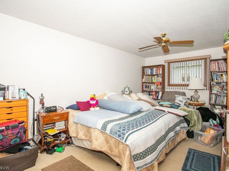 4199 W Middletown Road, Canfield, OH 44406 Photo 12