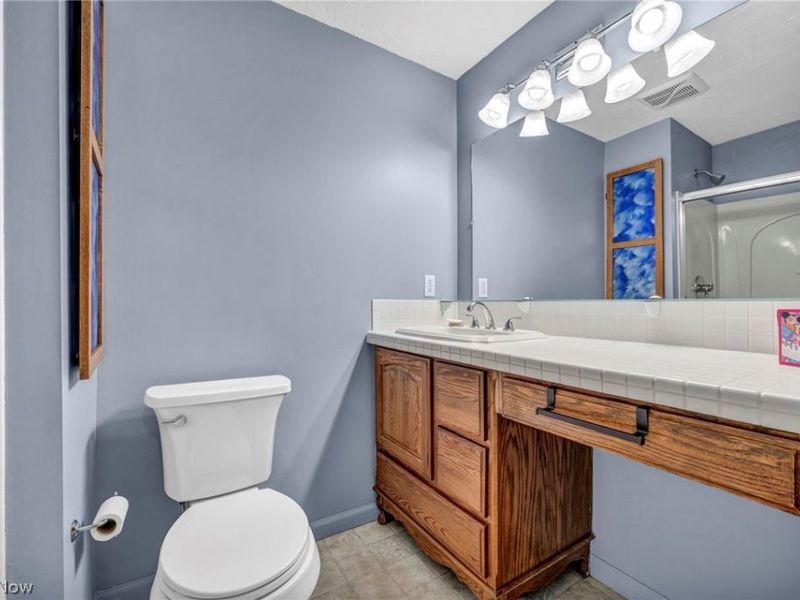 3717 Sea Ray Cove, Aurora, OH 44202 Photo 18