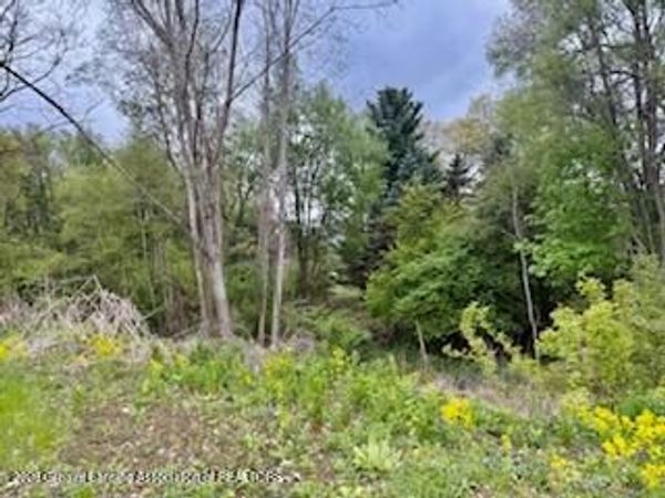 5521 Timothy Lane, Bath, MI 48808
