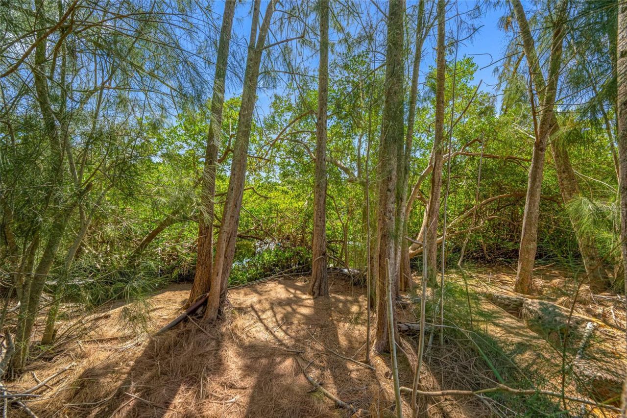 6908 11th Avenue E, Palmetto, FL 34221 Photo