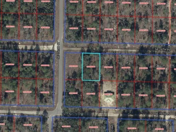 TBD NE 16TH PLACE , WILLISTON, FL 32696