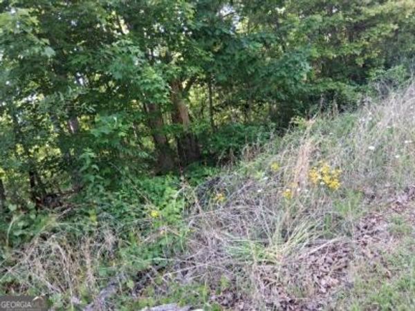 3711 cagle rd, Gainesville, GA 30501