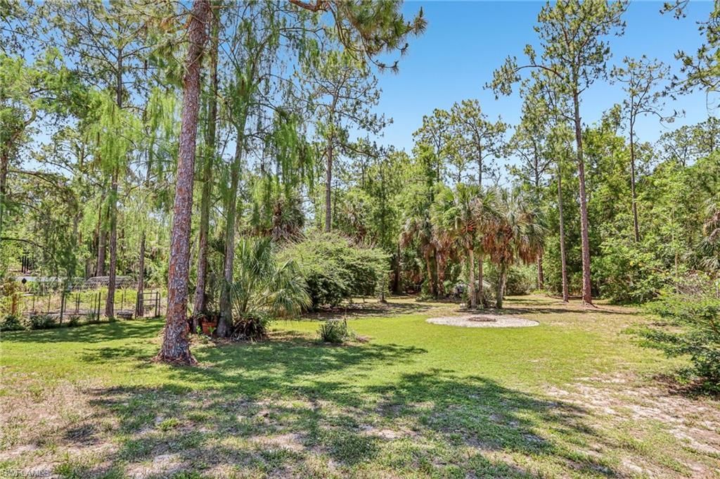 3360 2nd Ave Ne, Naples, FL 34120 Photo