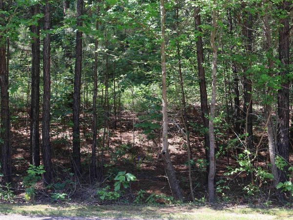 TBD Heather Ridge, Texarkana, AR 71854