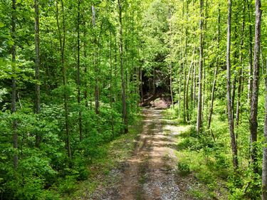 0 Amy Branch Road, Roark, KY 40979