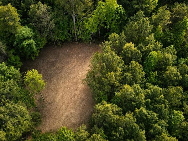 Tract 1 SE Washboard Road SE, Cleveland, TN 37323