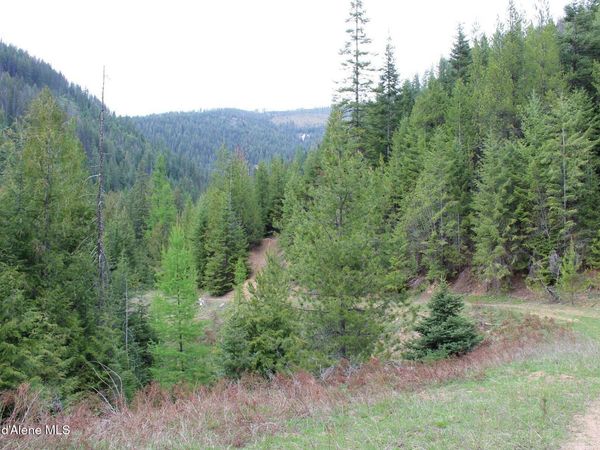 19a Daisy Gulch Rd, Mullan, ID 83846