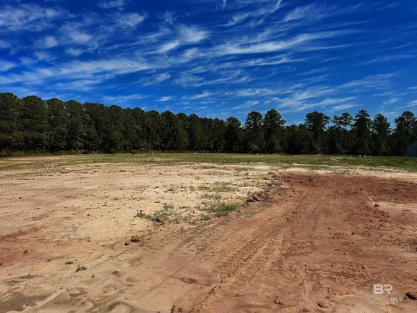 Lot 2, 0 T Bridge Road, Red Level, AL 36474