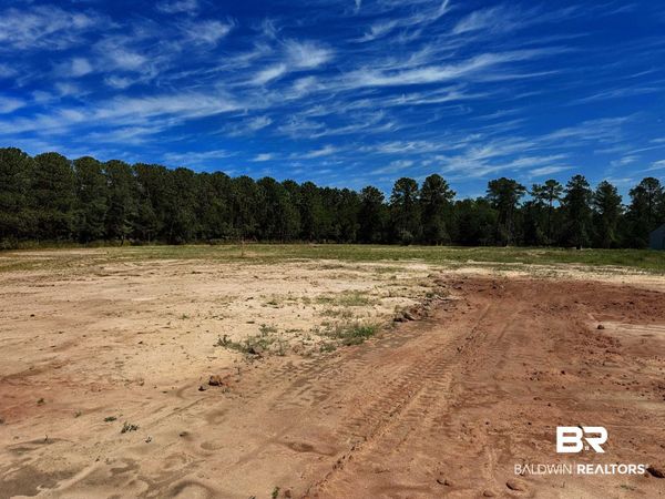 Lot 2, 0 T Bridge Road, Red Level, AL 36474