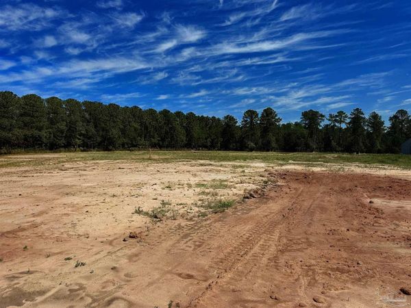 Lot 2 0 T Bridge Rd, Red Level, AL 36474