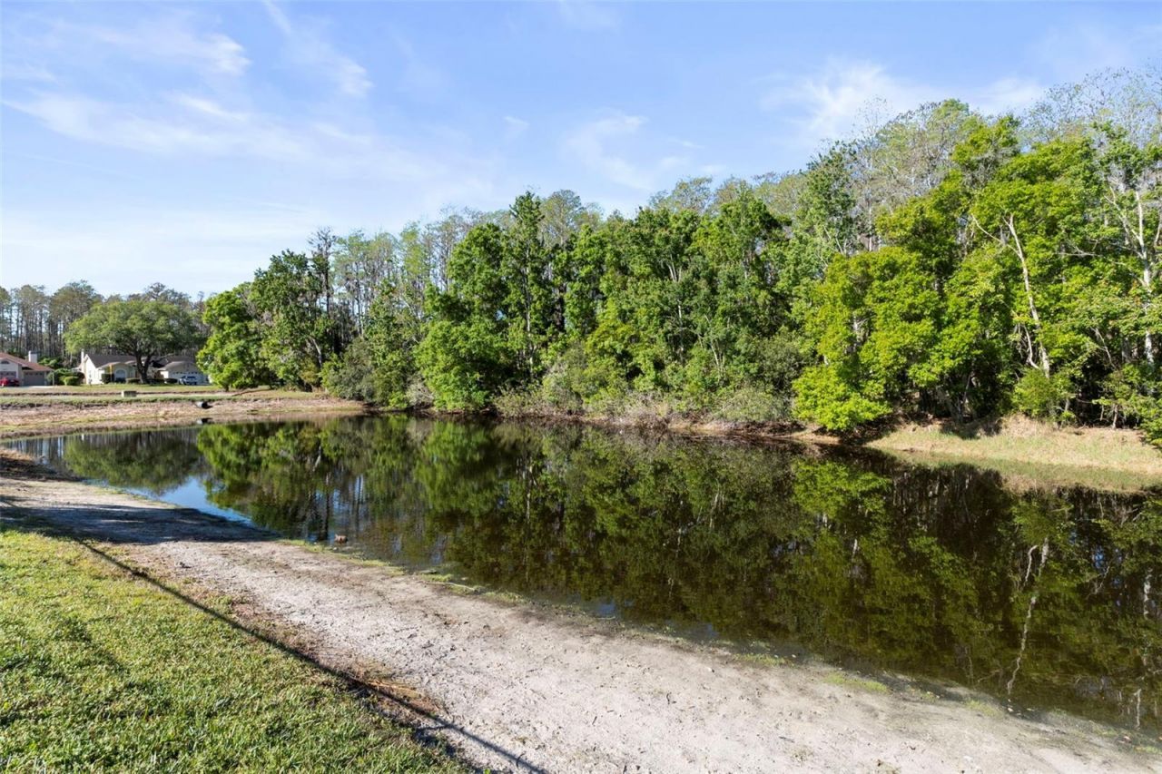 5243 Saltamonte Drive , New Port Richey, FL 34655 Photo