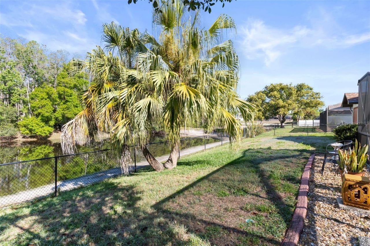 5243 Saltamonte Drive , New Port Richey, FL 34655 Photo